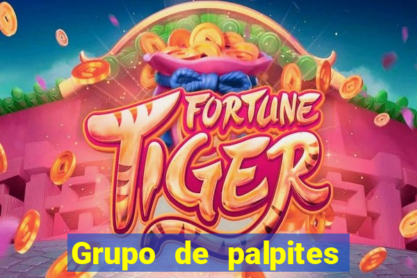 Grupo de palpites de futebol gratis